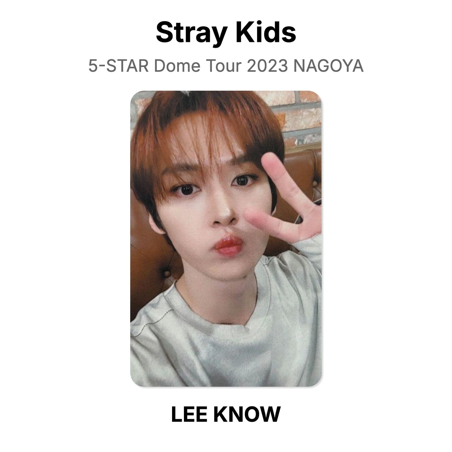 Stray Kids 5-STAR Dome Tour 2023 NAGOYA photocard officielle