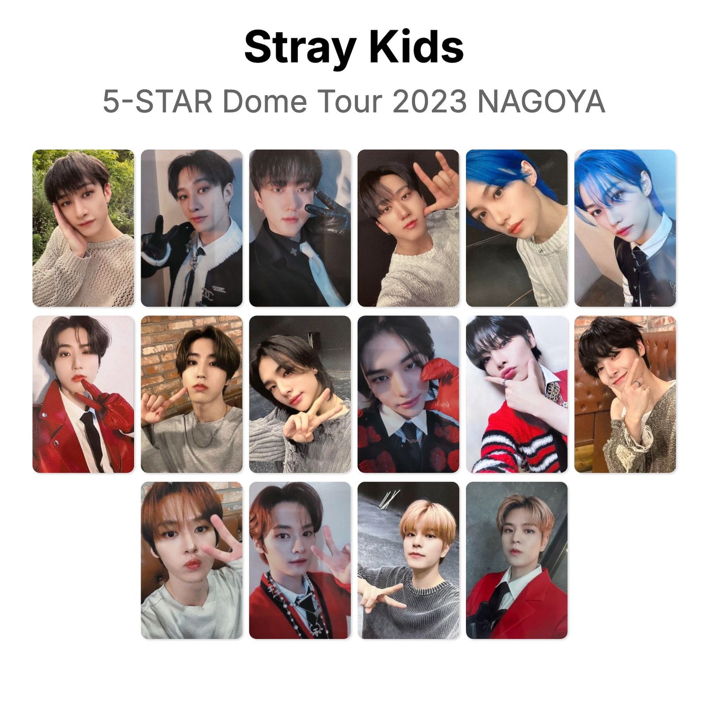 Stray Kids 5-STAR Dome Tour 2023 NAGOYA photocard officielle
