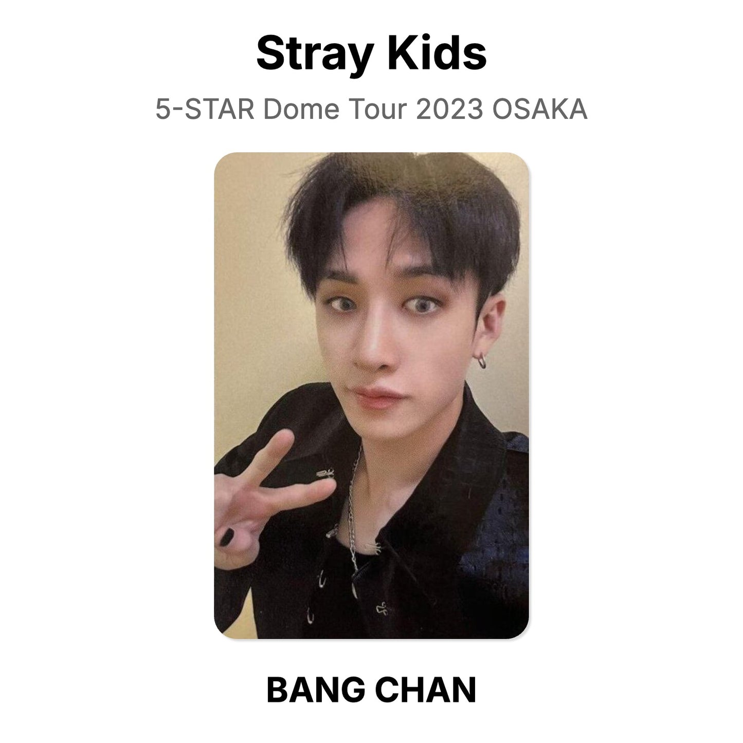 Stray Kids 5-STAR Dome Tour 2023 OSAKA photocard resmi