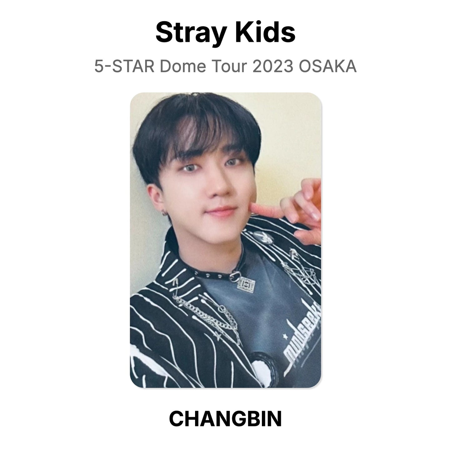 Stray Kids 5-STAR Dome Tour 2023 OSAKA photocard resmi