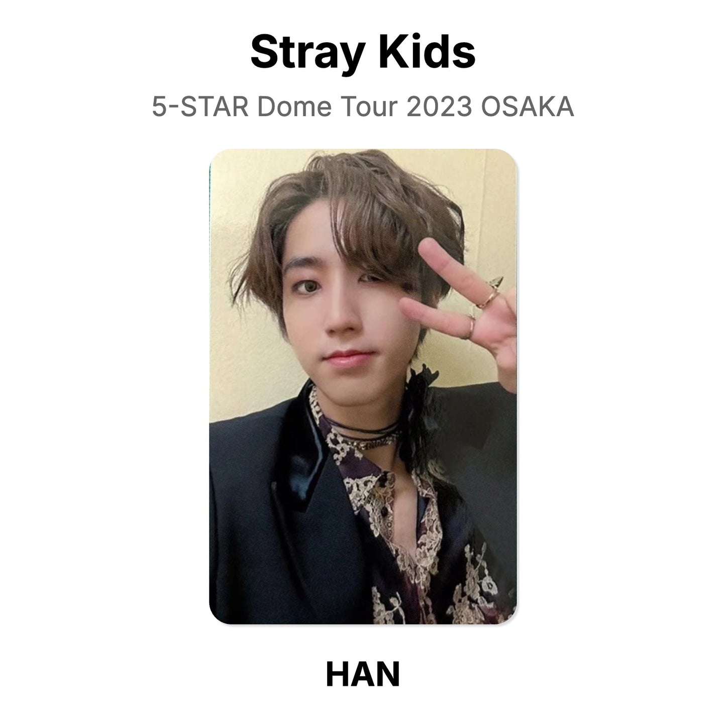 Stray Kids 5-STAR Dome Tour 2023 OSAKA photocard resmi