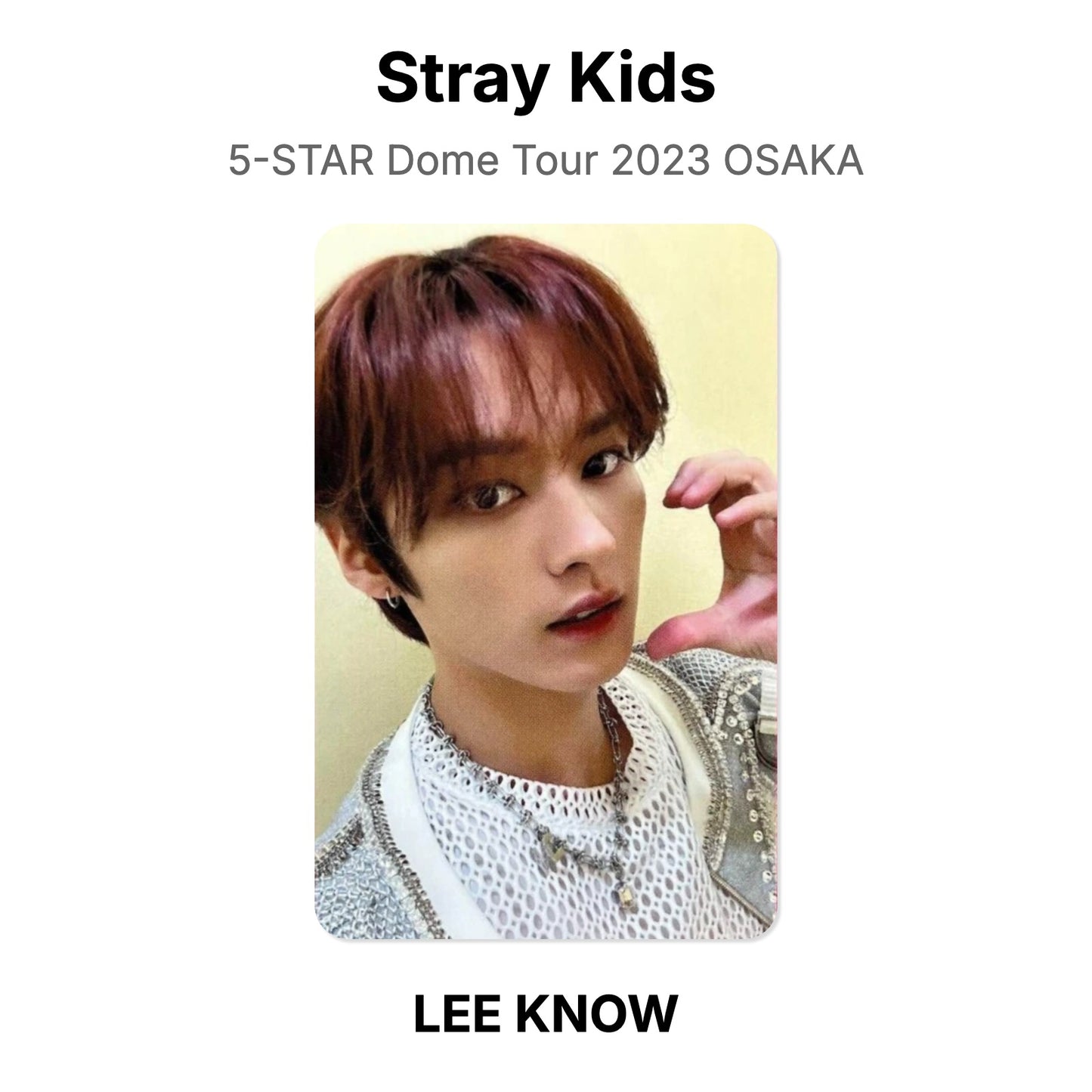 Stray Kids 5-STAR Dome Tour 2023 OSAKA photocard resmi