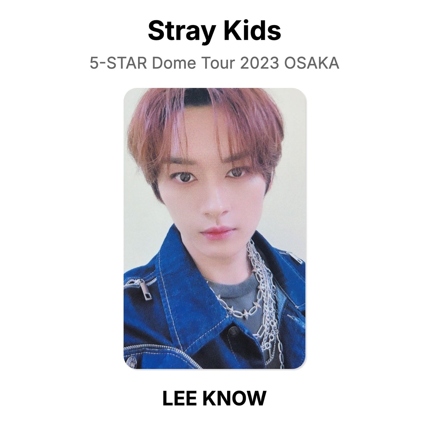Stray Kids 5-STAR Dome Tour 2023 OSAKA photocard resmi