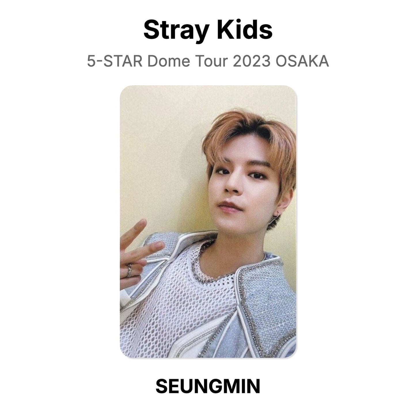 Stray Kids 5-STAR Dome Tour 2023 OSAKA photocard resmi