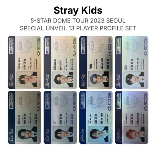 Stray Kids 5-STAR DOME TOUR 2023 SEOUL SPECIAL UNVEIL 13 PLAYER PROFILE SET photocard resmi