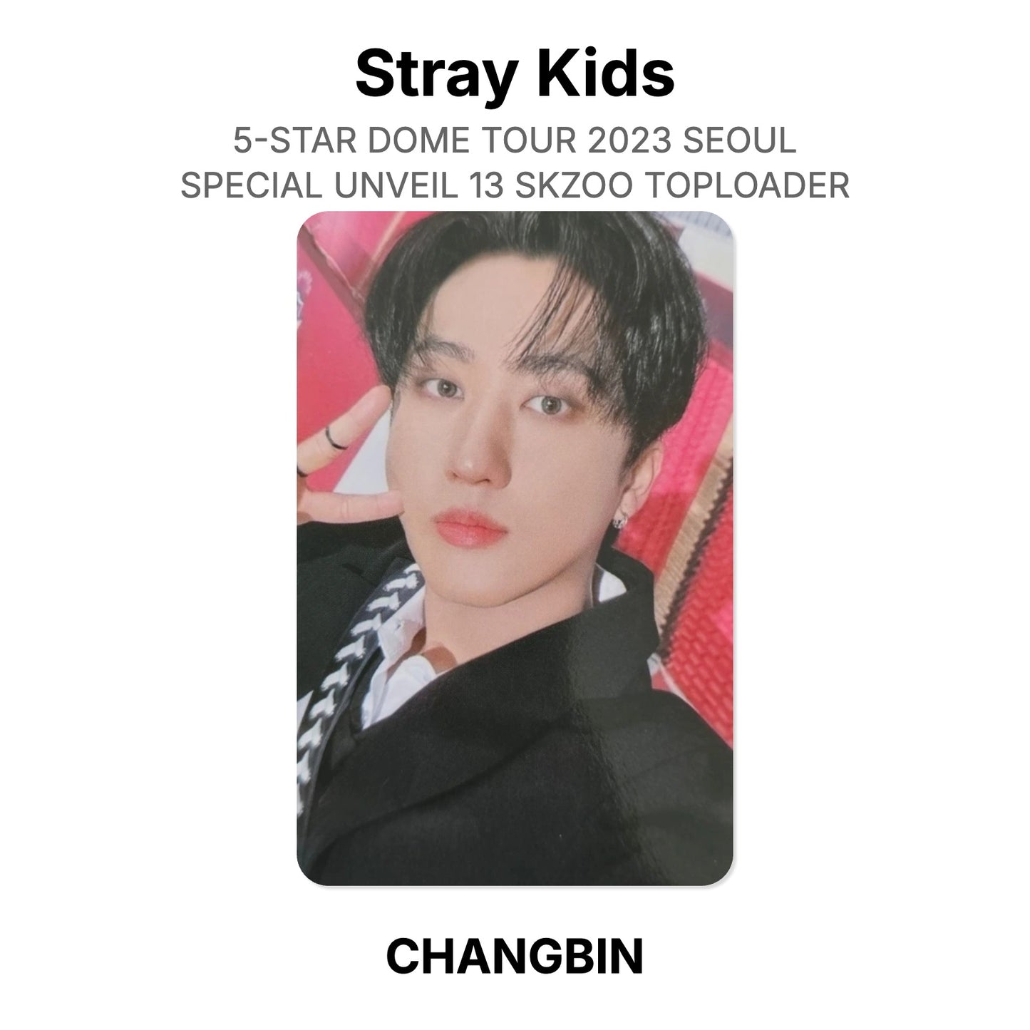 Stray Kids 5-STAR DOME TOUR 2023 SEOUL SPECIAL UNVEIL 13 SKZOO TOPLOADER Offizielle Photocard