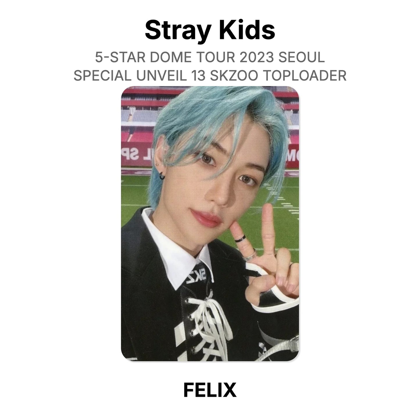 Stray Kids 5-STAR DOME TOUR 2023 SEOUL SPECIAL UNVEIL 13 SKZOO TOPLOADER Offizielle Photocard