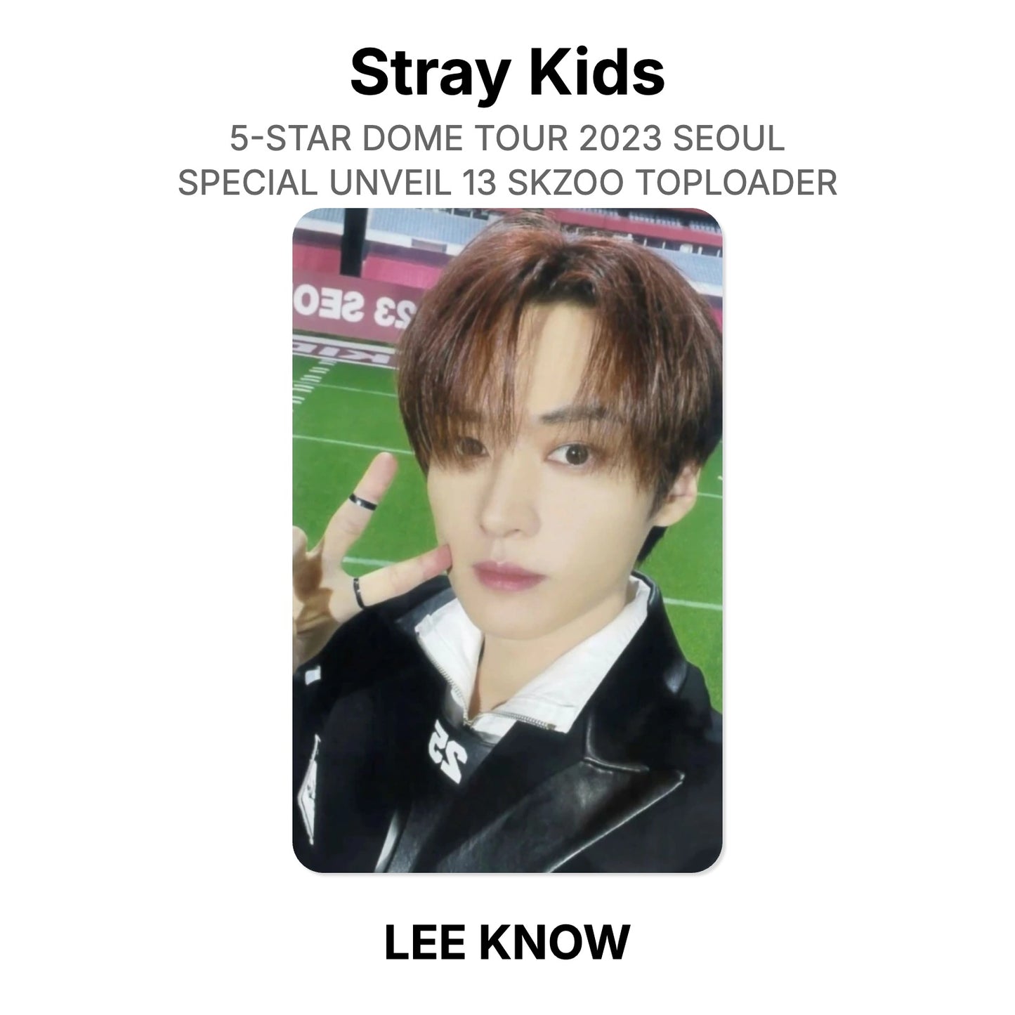 Stray Kids 5-STAR DOME TOUR 2023 SEOUL SPECIAL UNVEIL 13 SKZOO TOPLOADER Offizielle Photocard