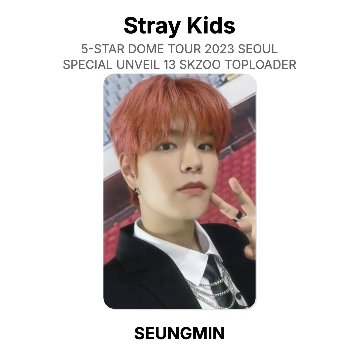 Stray Kids 5-STAR DOME TOUR 2023 SEOUL SPECIAL UNVEIL 13 SKZOO TOPLOADER Offizielle Photocard