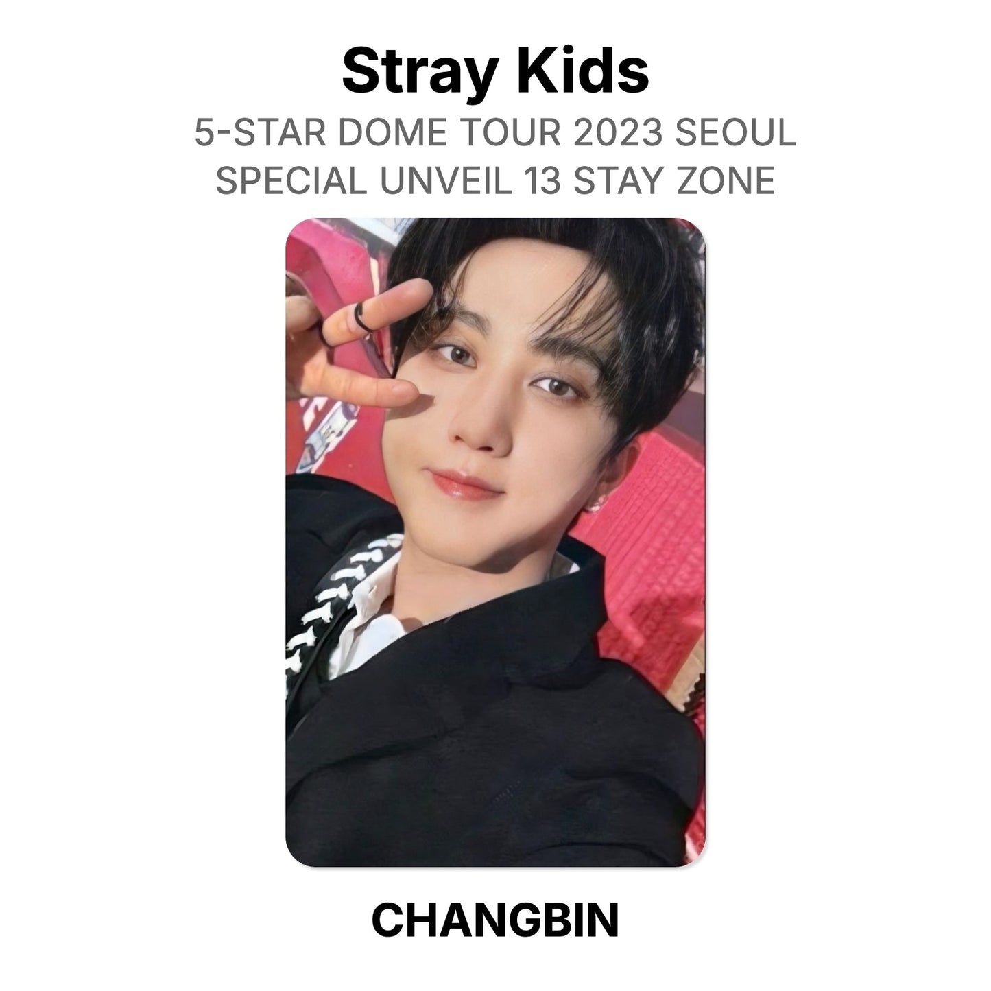 Stray Kids 5-STAR DOME TOUR 2023 SEOUL SPECIAL UNVEIL 13 STAY ZONE Official Photocard