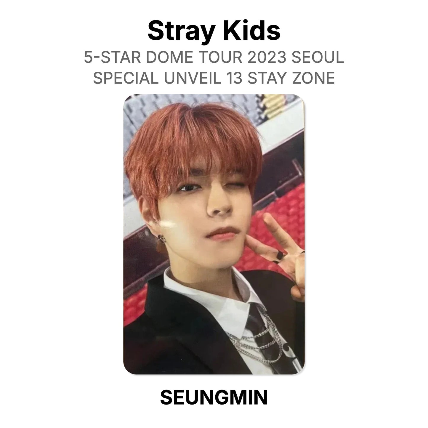 Stray Kids 5-STAR DOME TOUR 2023 SEOUL SPECIAL UNVEIL 13 STAY ZONE Official Photocard