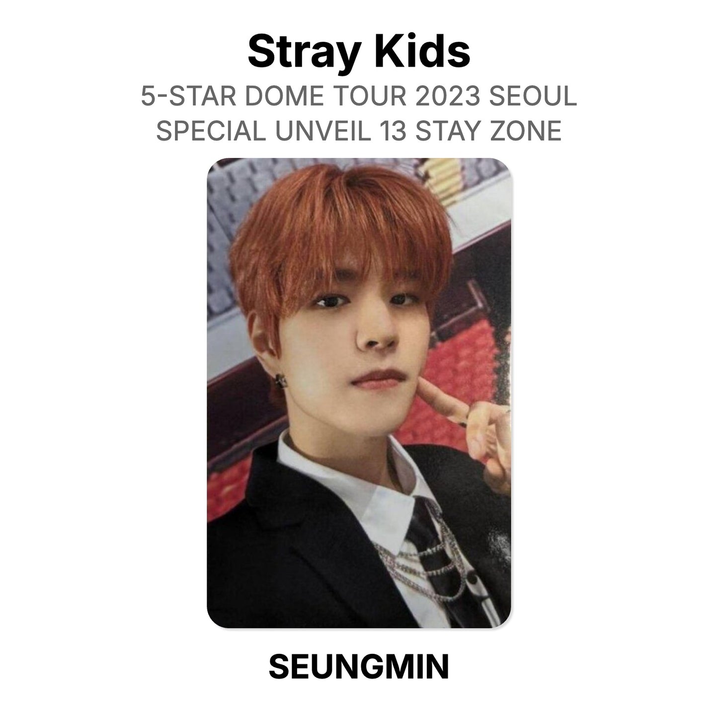 Stray Kids 5-STAR DOME TOUR 2023 SEOUL SPECIAL UNVEIL 13 STAY ZONE Official Photocard