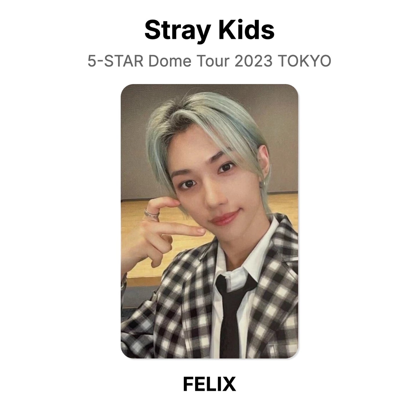 Stray Kids 5-STAR Dome Tour 2023 TOKYO Official Photocard