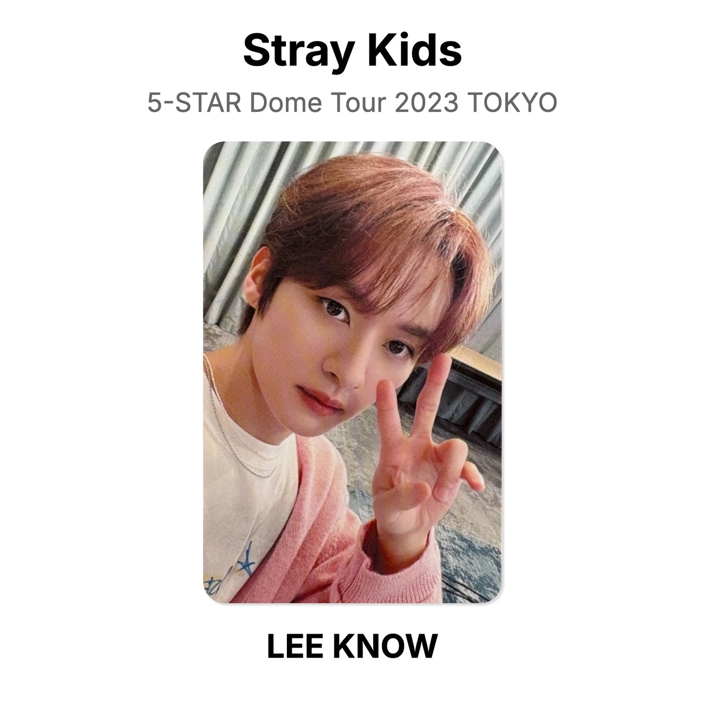 Stray Kids 5-STAR Dome Tour 2023 TOKYO Official Photocard