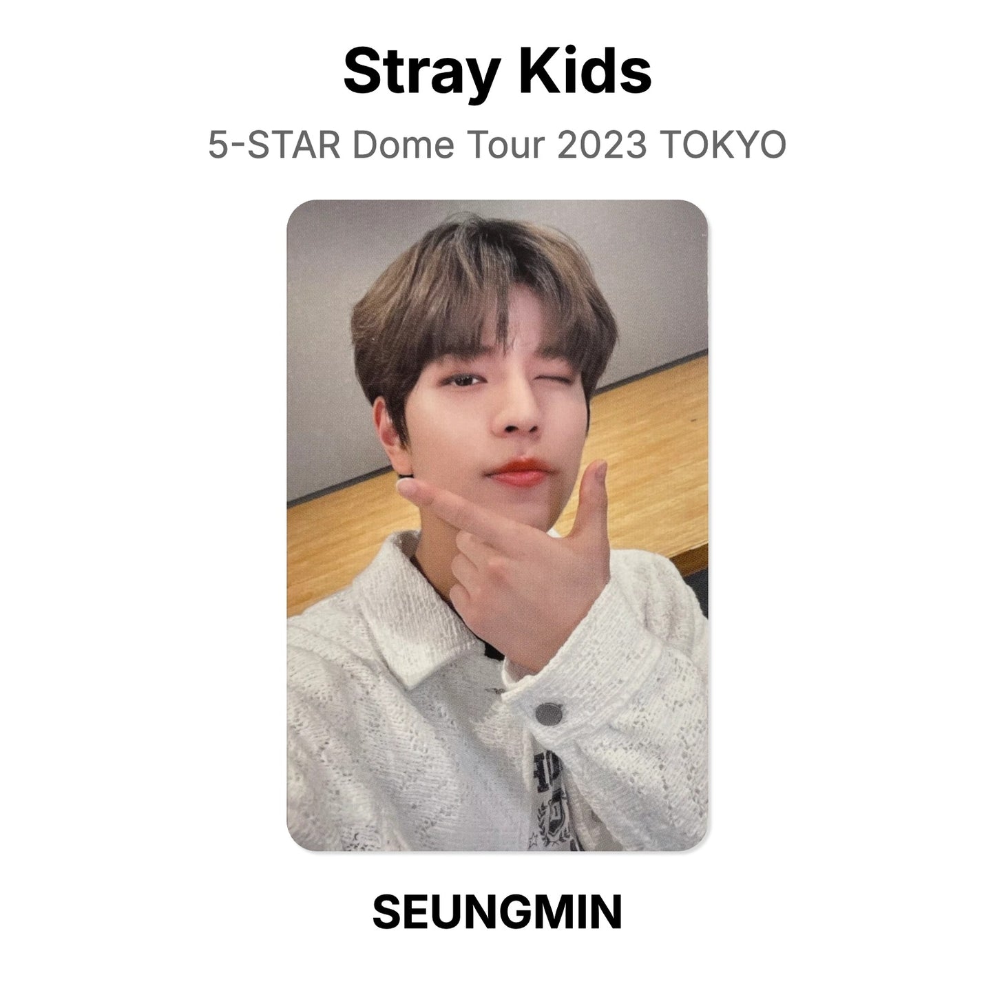 Stray Kids 5-STAR Dome Tour 2023 TOKYO Official Photocard