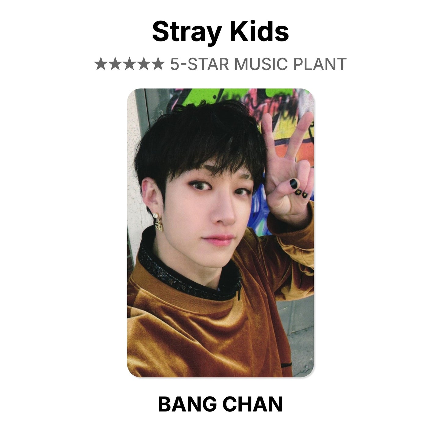Stray Kids 5-STAR MUSIC PLANT photocard officielle