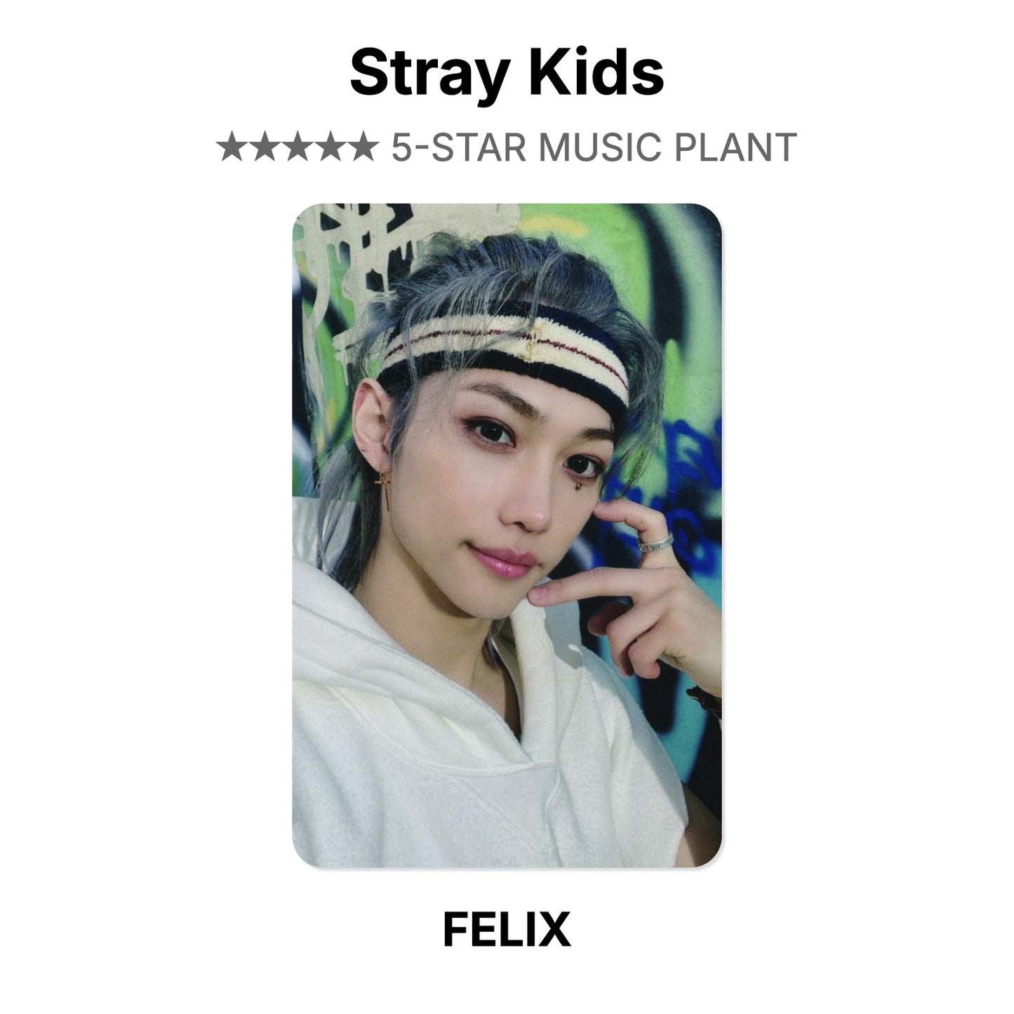 Stray Kids 5-STAR MUSIC PLANT photocard officielle