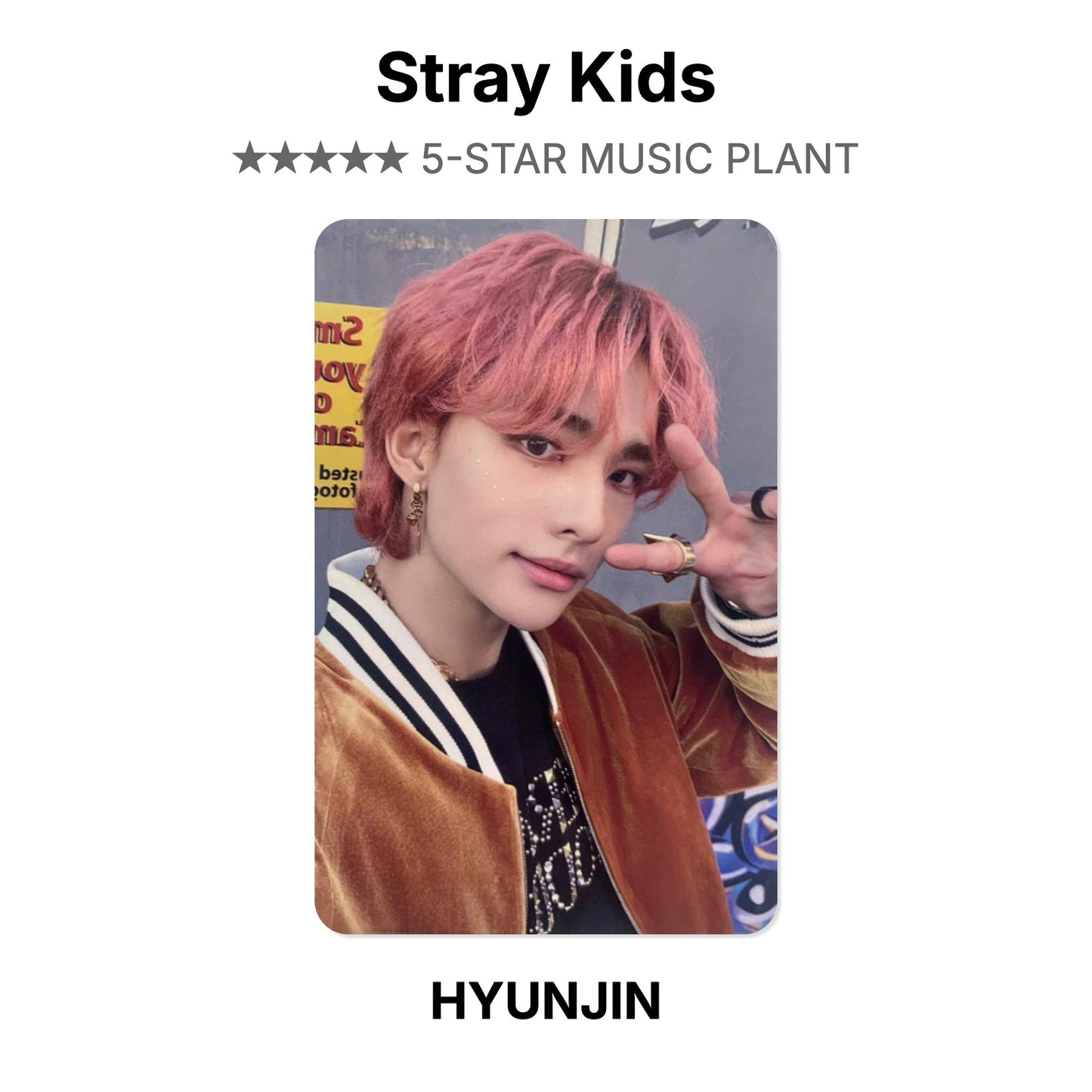 Stray Kids 5-STAR MUSIC PLANT photocard officielle
