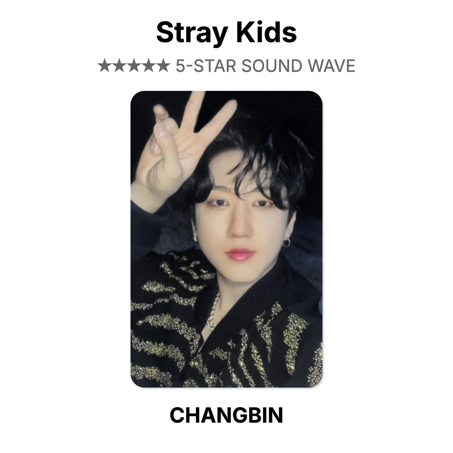 Stray Kids 5-STAR SOUND WAVE Official Photocard