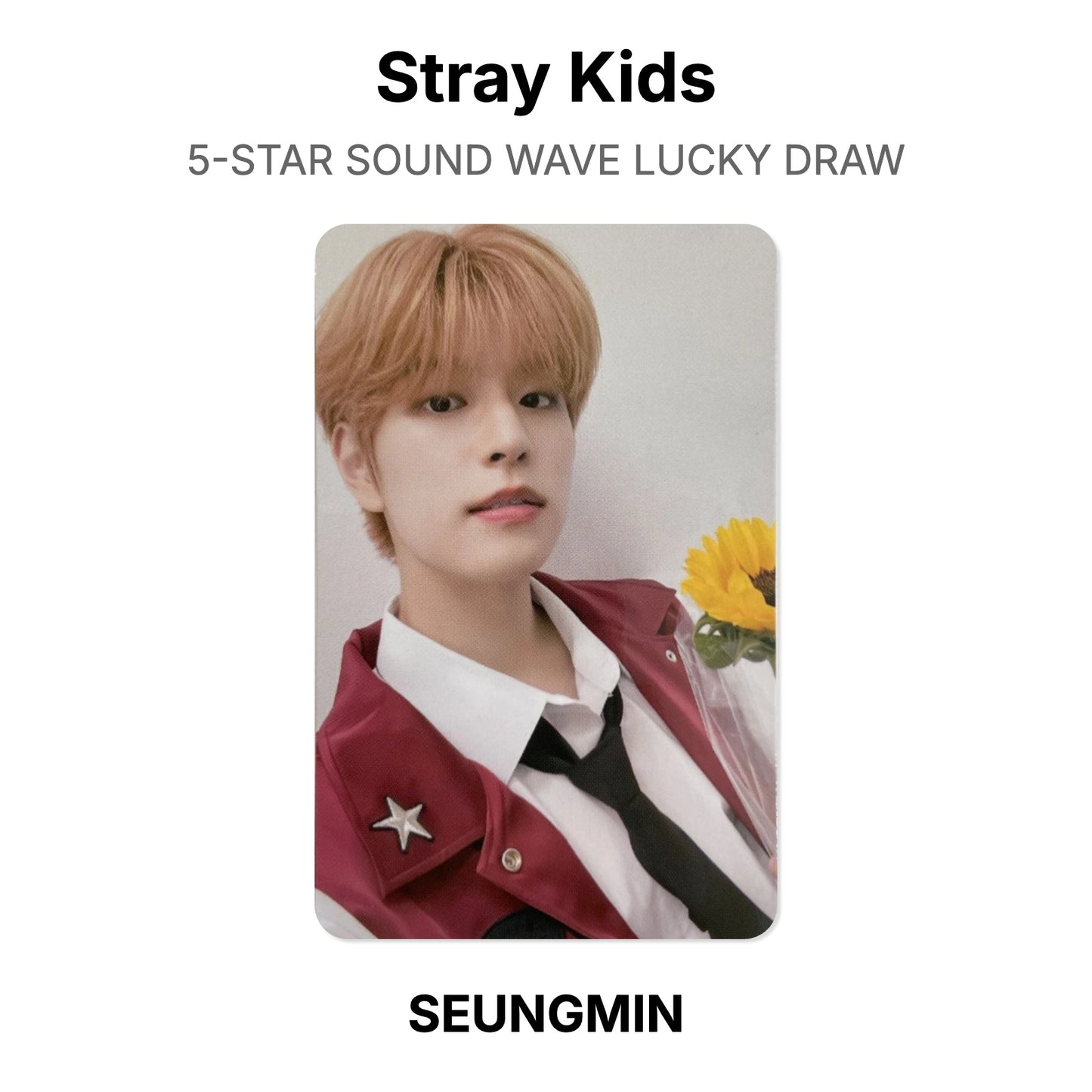 Stray Kids 5-STAR SOUND WAVE LUCKY DRAW Offizielle Photocard