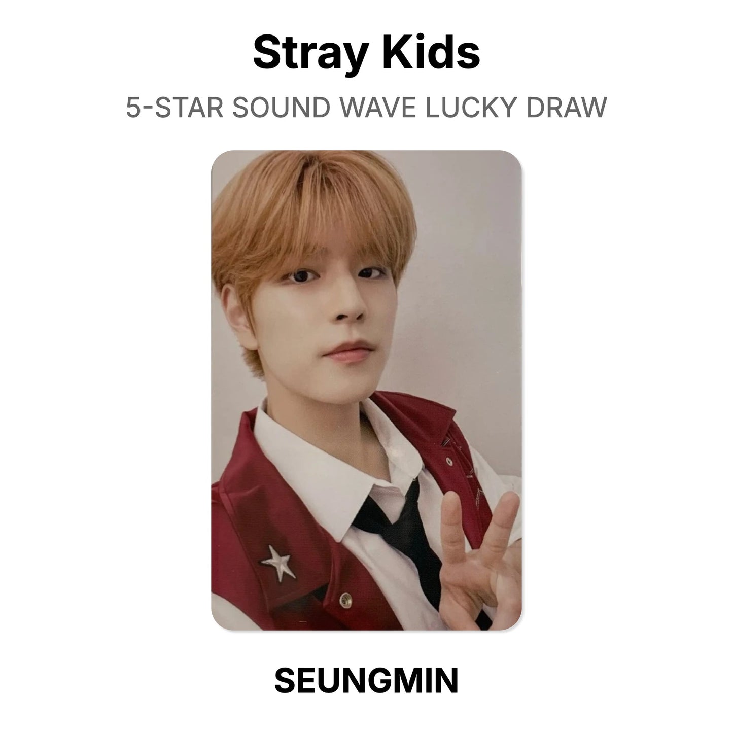 Stray Kids 5-STAR SOUND WAVE LUCKY DRAW Offizielle Photocard