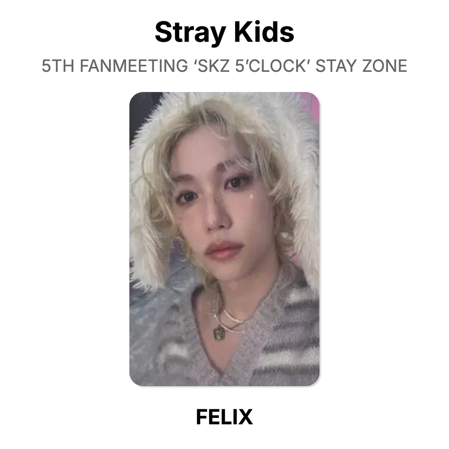 Stray Kids 5TH FANMEETING ‘SKZ 5’CLOCK’ STAY ZONE Offizielle Photocard