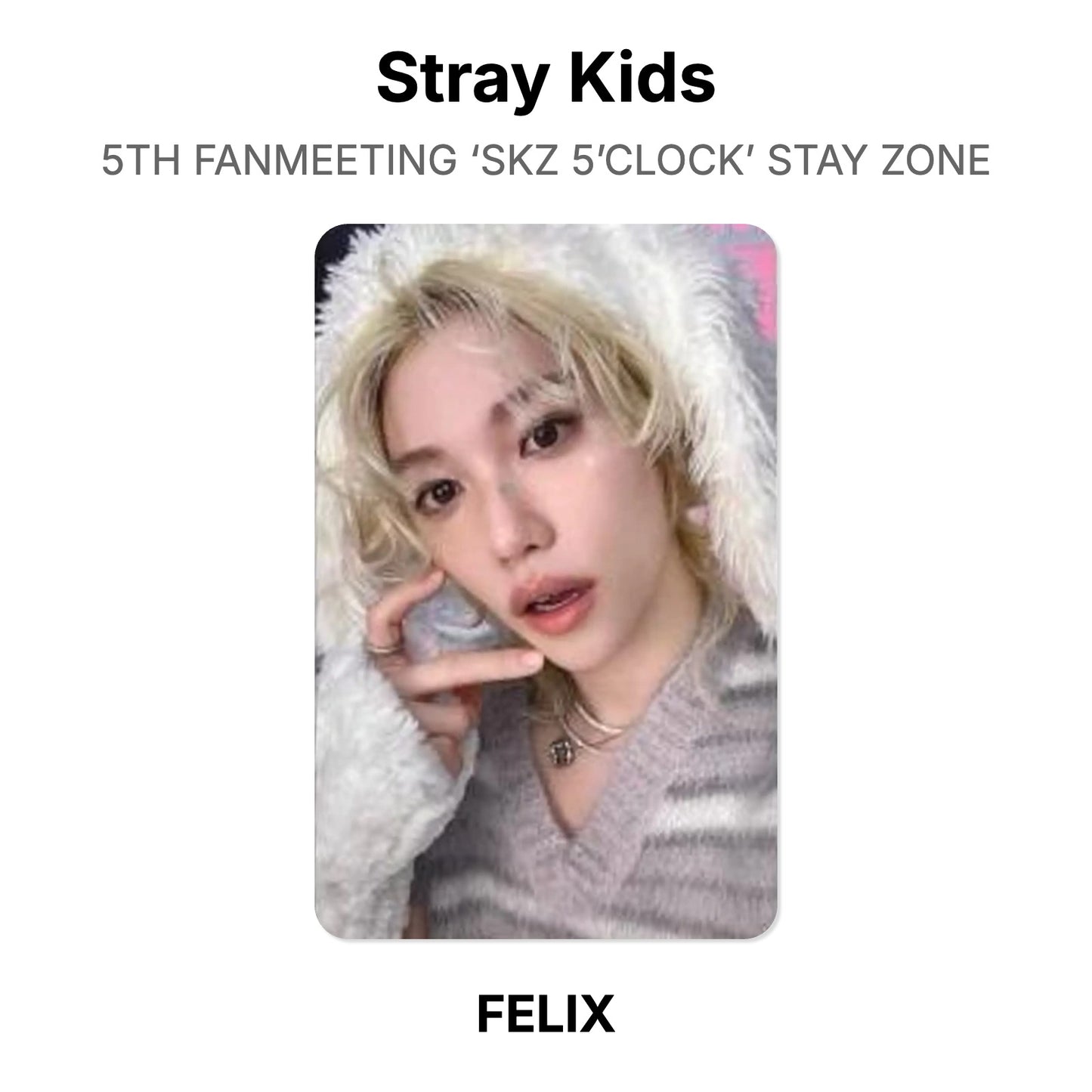 Stray Kids 5TH FANMEETING ‘SKZ 5’CLOCK’ STAY ZONE Offizielle Photocard