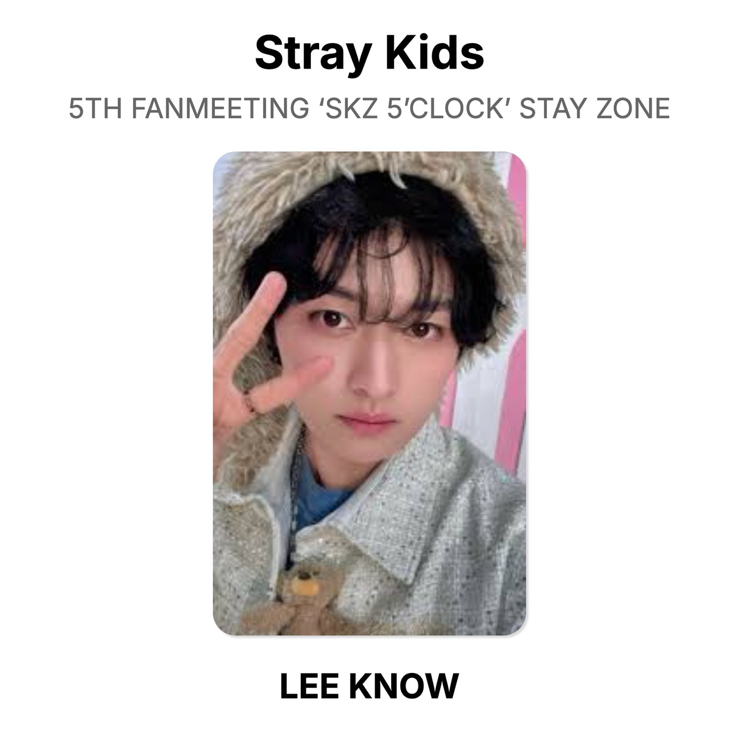 Stray Kids 5TH FANMEETING ‘SKZ 5’CLOCK’ STAY ZONE Offizielle Photocard