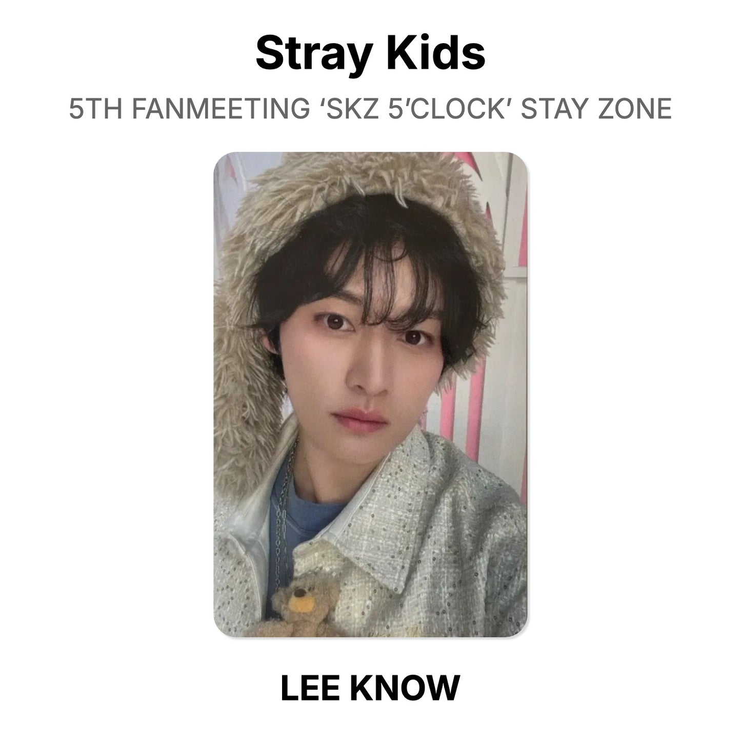 Stray Kids 5TH FANMEETING ‘SKZ 5’CLOCK’ STAY ZONE Offizielle Photocard