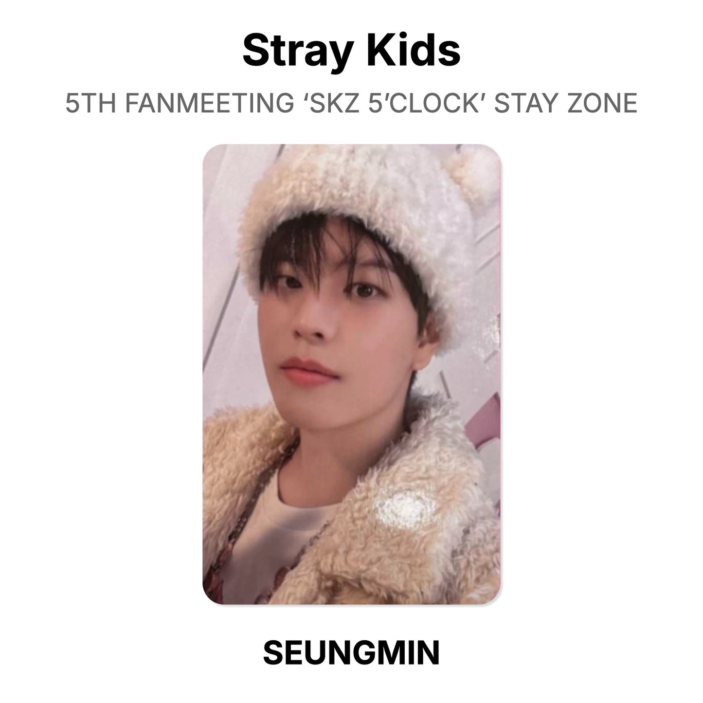 Stray Kids 5TH FANMEETING ‘SKZ 5’CLOCK’ STAY ZONE Offizielle Photocard