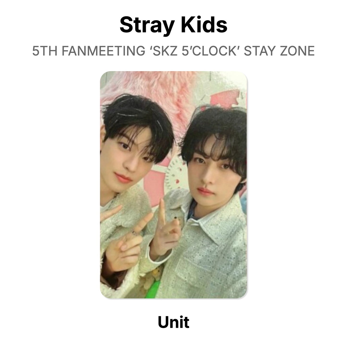 Stray Kids 5TH FANMEETING ‘SKZ 5’CLOCK’ STAY ZONE Offizielle Photocard