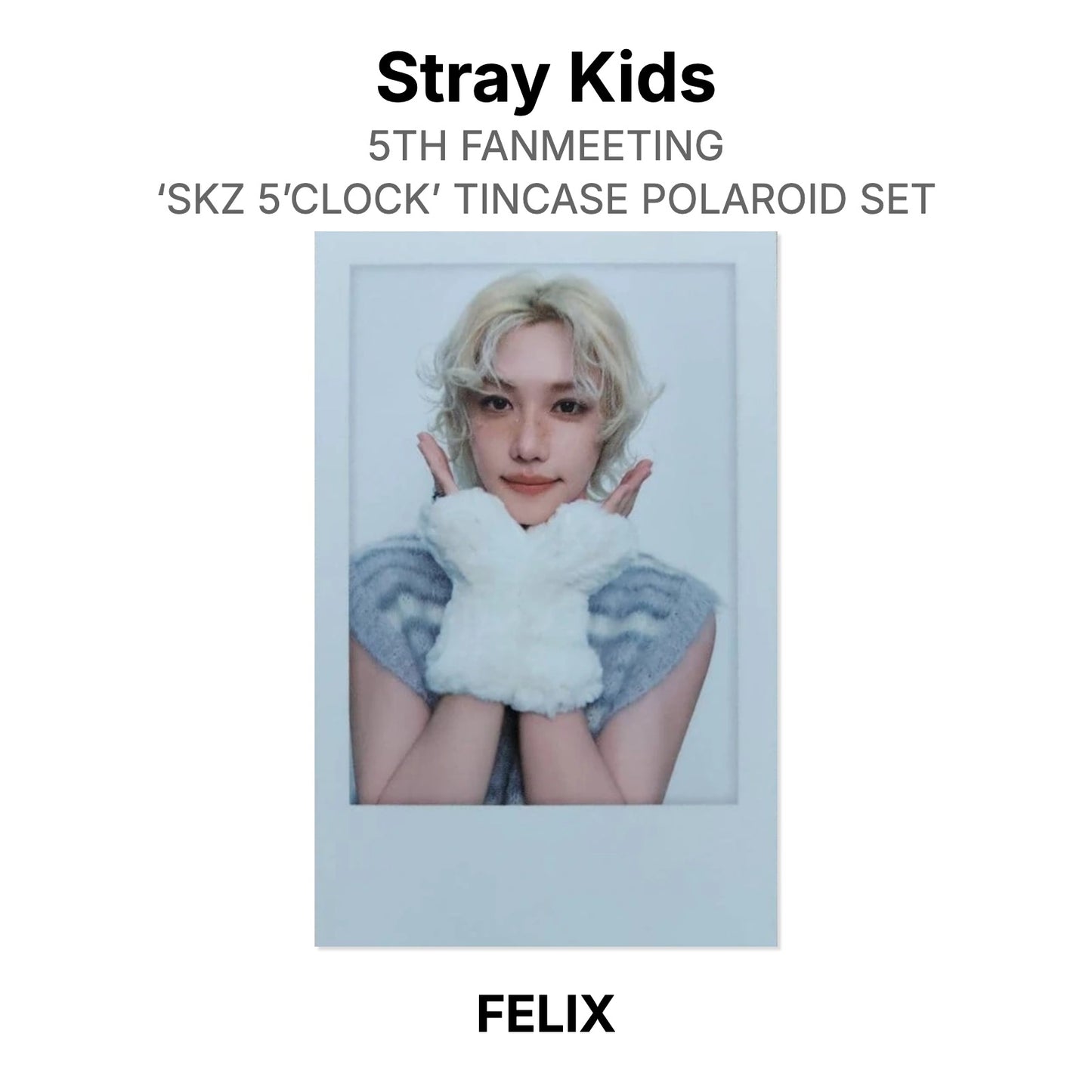 Stray Kids 5TH FANMEETING ‘SKZ 5’CLOCK’ TINCASE POLAROID SET Official Photocard