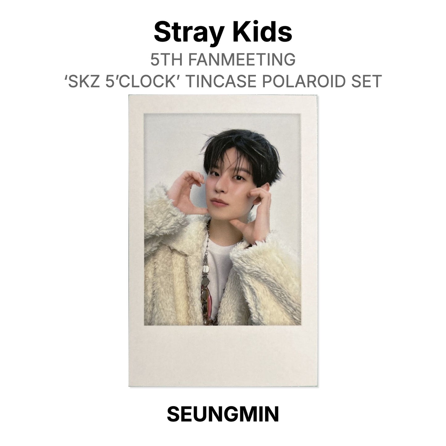 Stray Kids 5TH FANMEETING ‘SKZ 5’CLOCK’ TINCASE POLAROID SET Official Photocard
