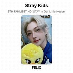 FELIX 03