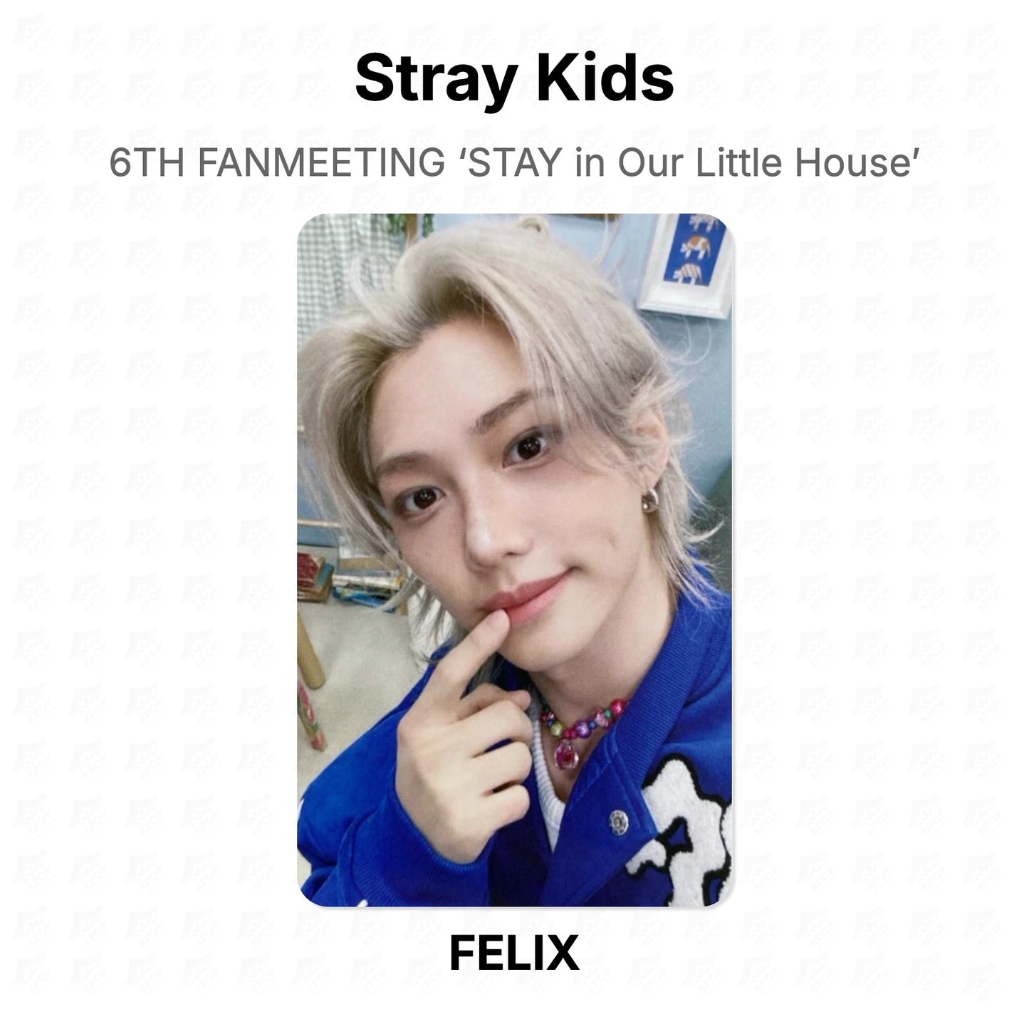 Stray Kids 6TH FANMEETING ‘STAY in Our Little House’ Official Photocard