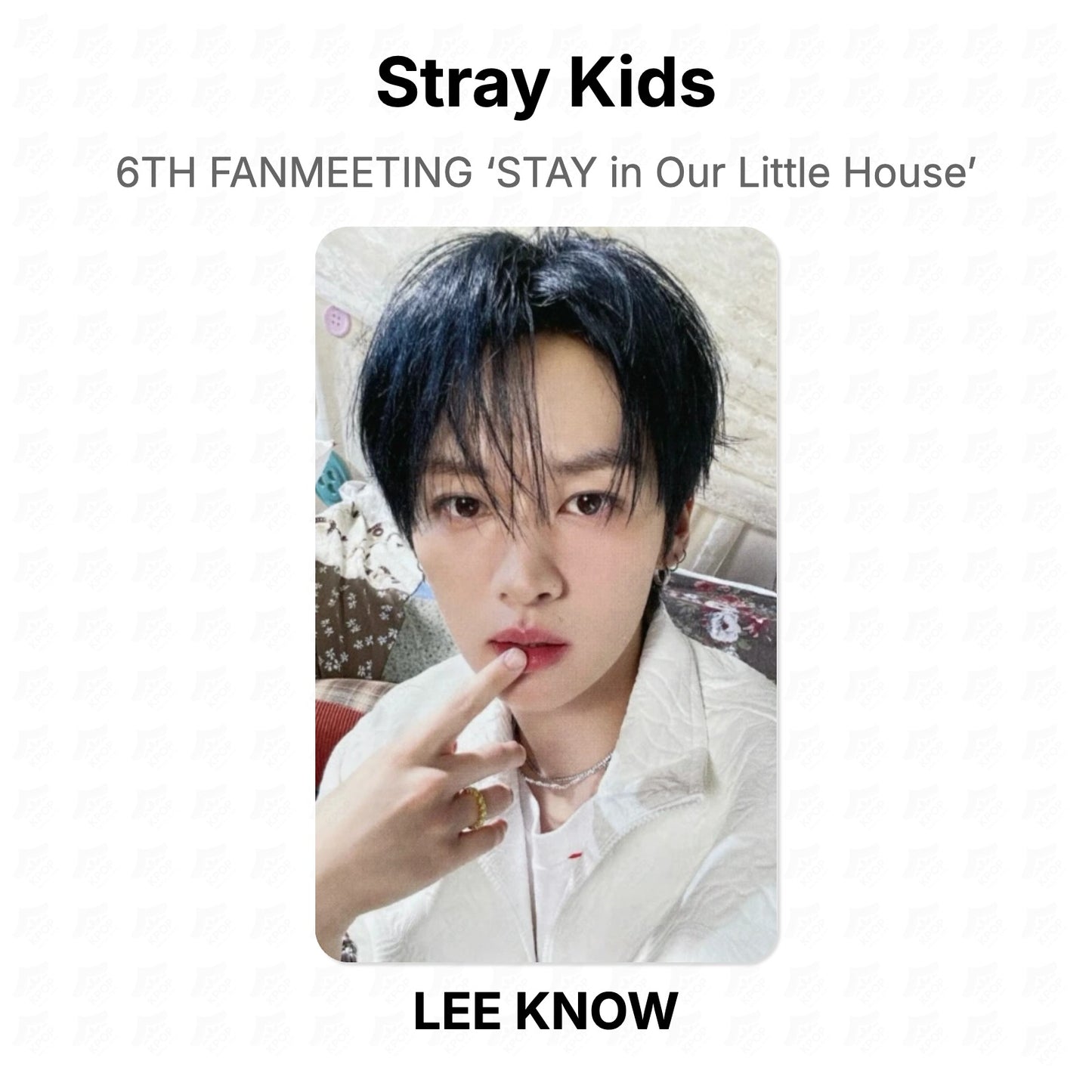 Stray Kids 6TH FANMEETING ‘STAY in Our Little House’ Official Photocard