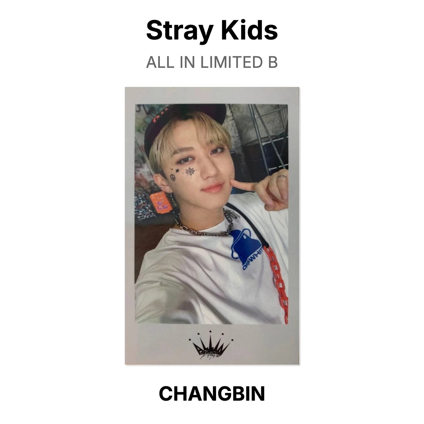 Stray Kids ALL IN LIMITED B Official Photocard