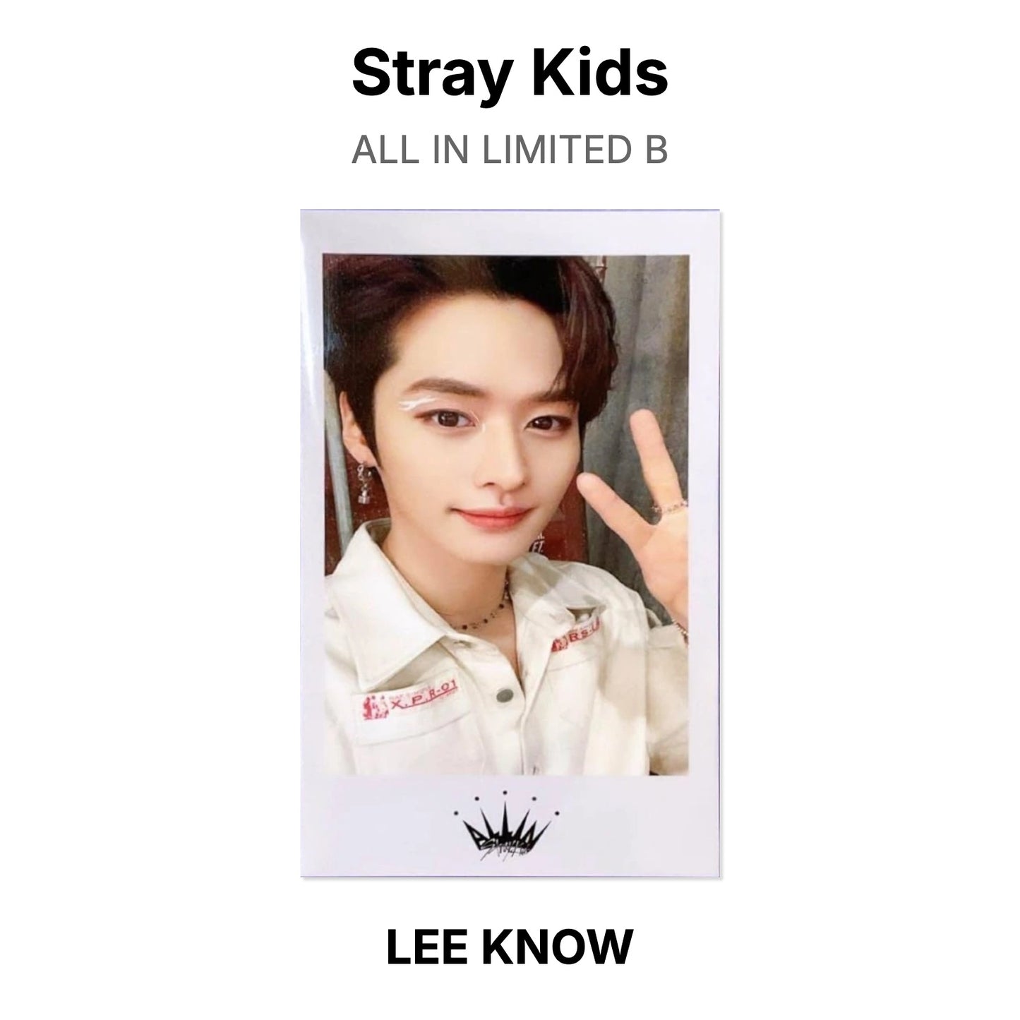 Stray Kids ALL IN LIMITED B Official Photocard