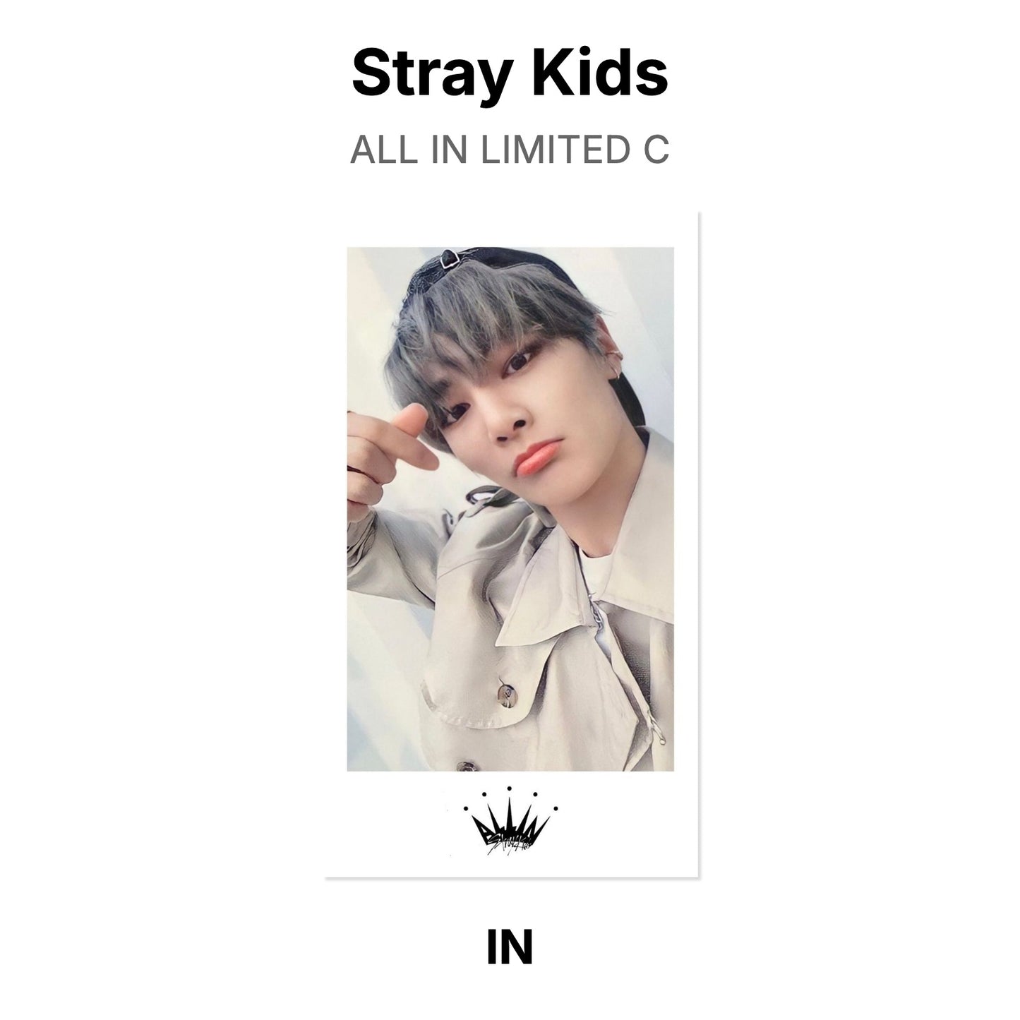 Stray Kids ALL IN LIMITED C photocard officielle