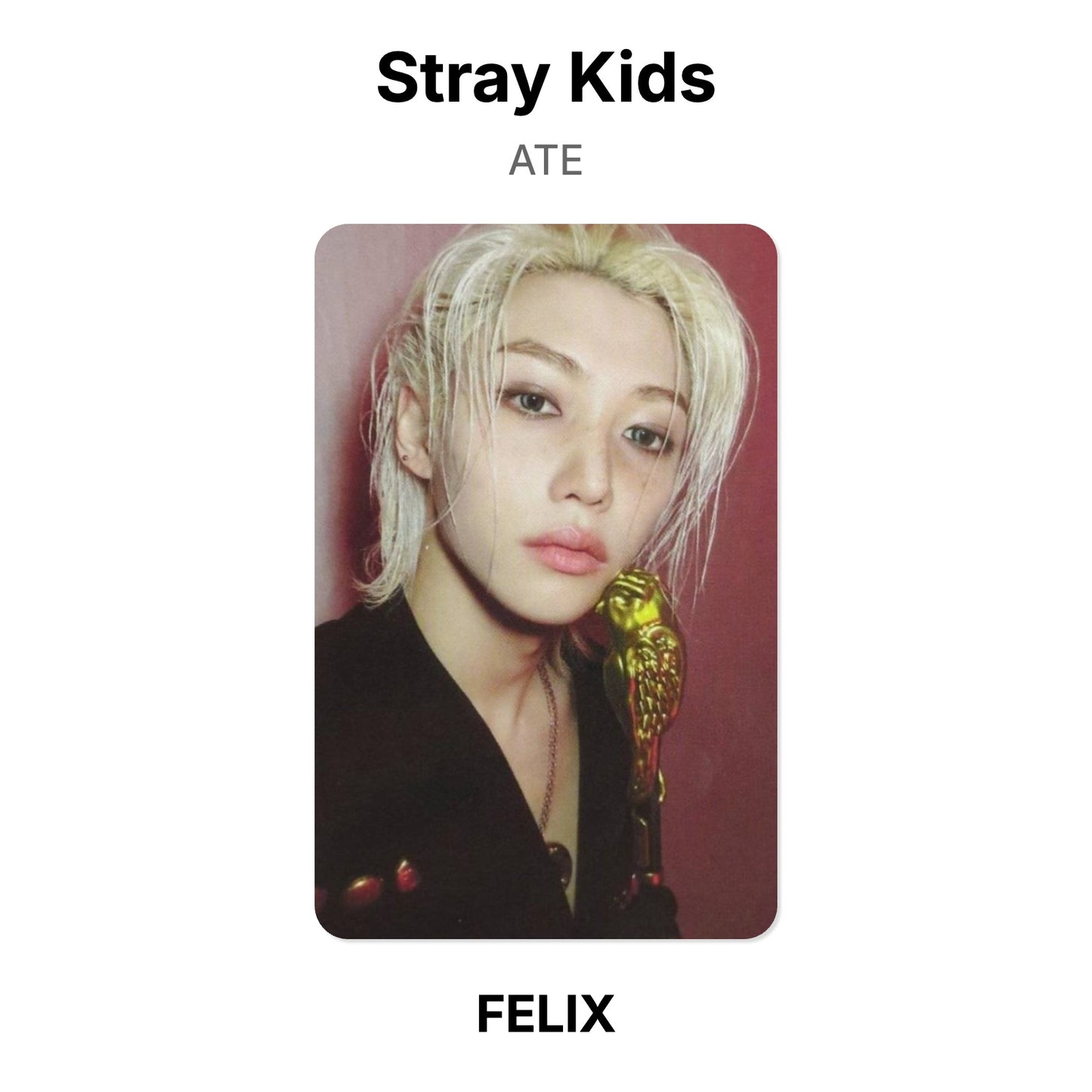 Stray Kids ATE Offizielle Photocard