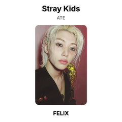FELIX 02
