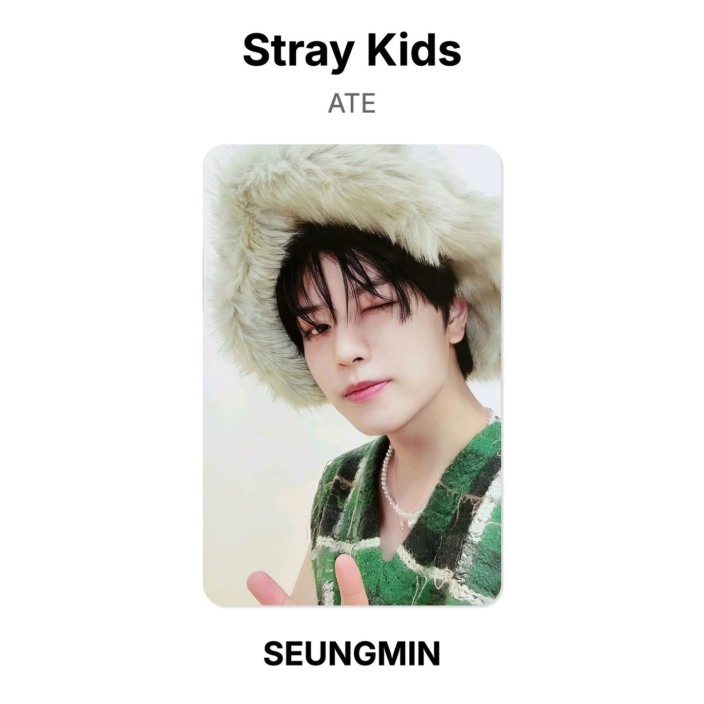 Stray Kids ATE Offizielle Photocard