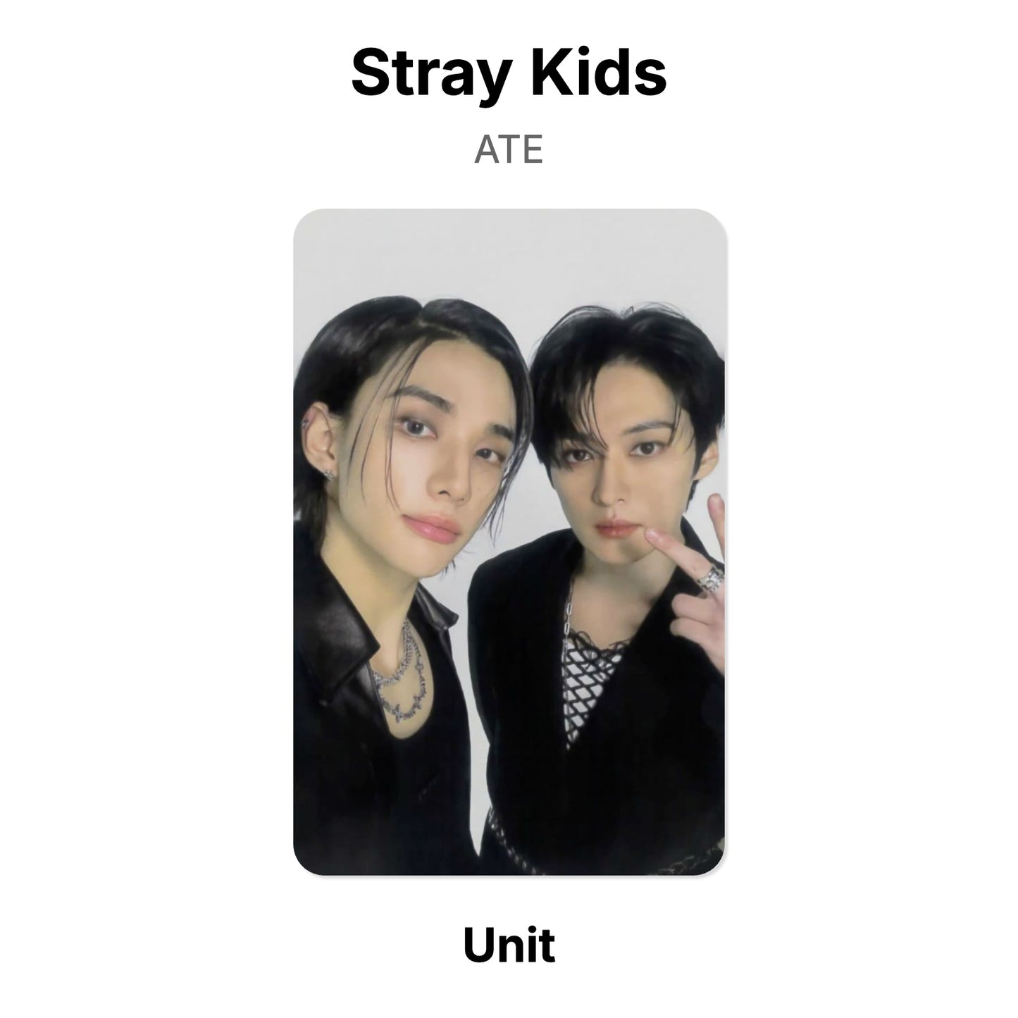 Stray Kids ATE Offizielle Photocard