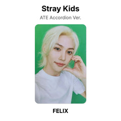 FELIX 02