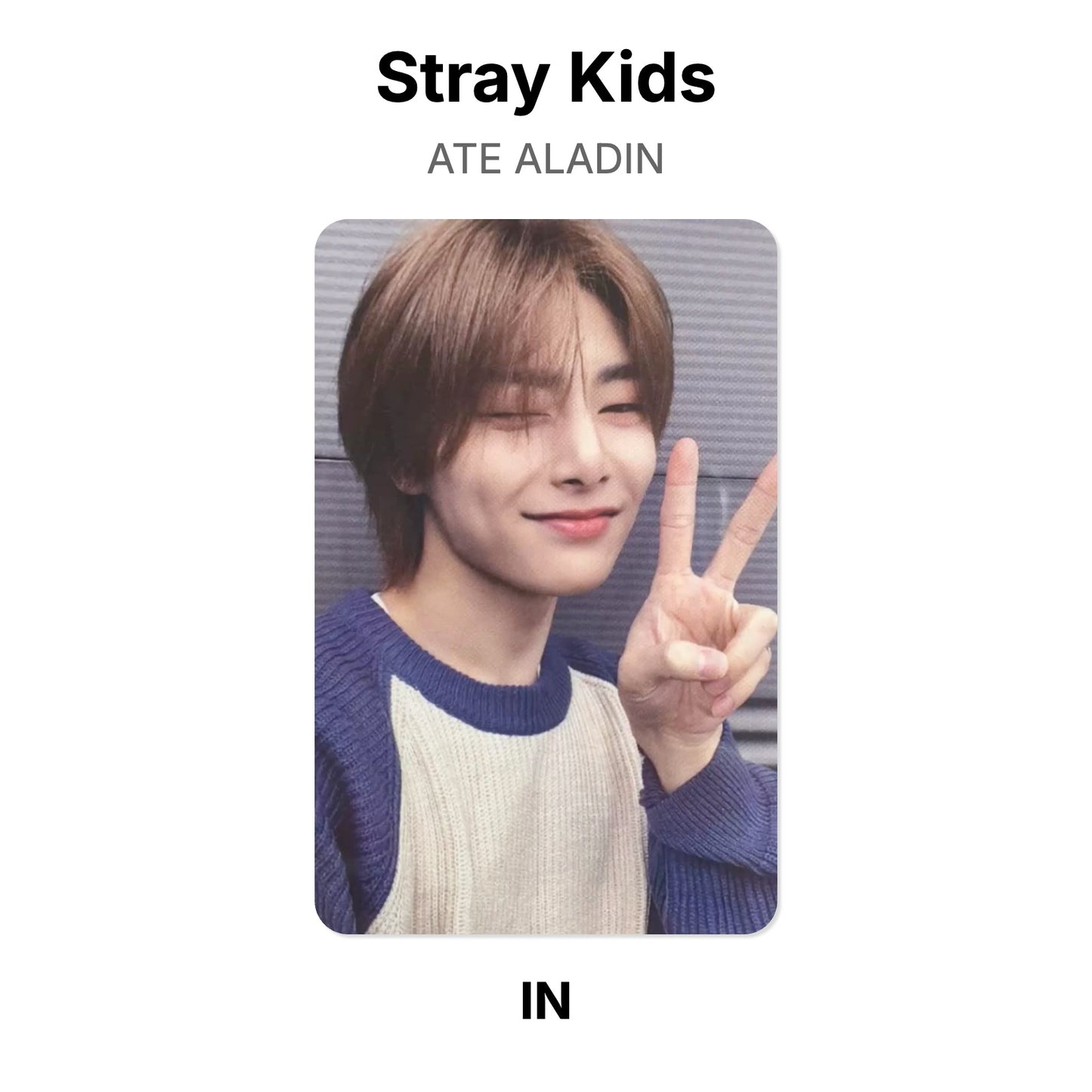 Stray Kids ATE ALADIN Offizielle Photocard