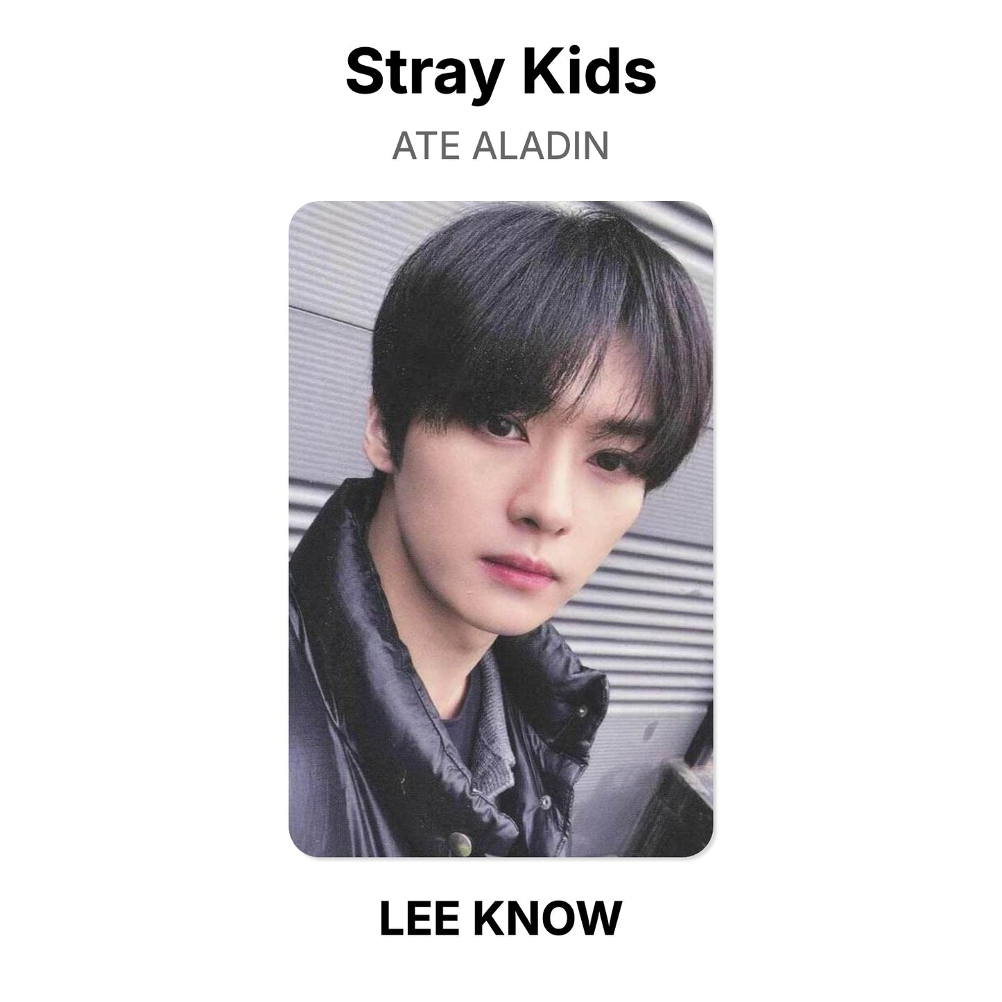 Stray Kids ATE ALADIN Offizielle Photocard