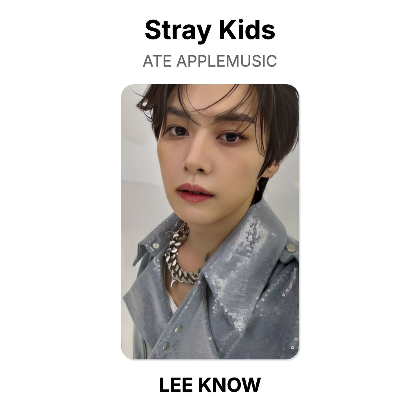 Stray Kids ATE APPLEMUSIC Official Photocard
