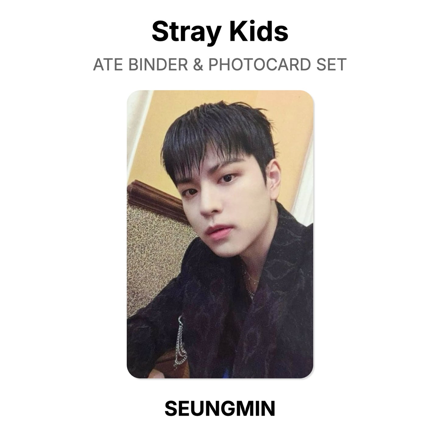 Stray Kids ATE BINDER & PHOTOCARD SET 公式フォトカード