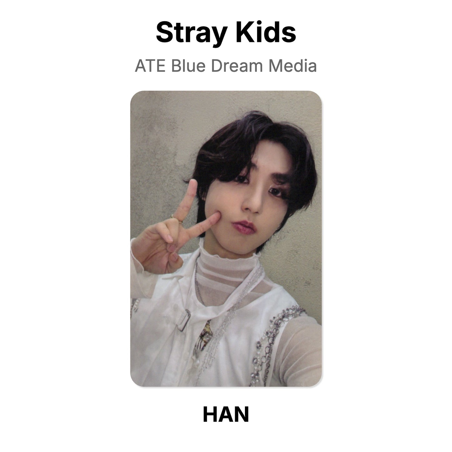 Stray Kids ATE Blue Dream Media Offizielle Photocard