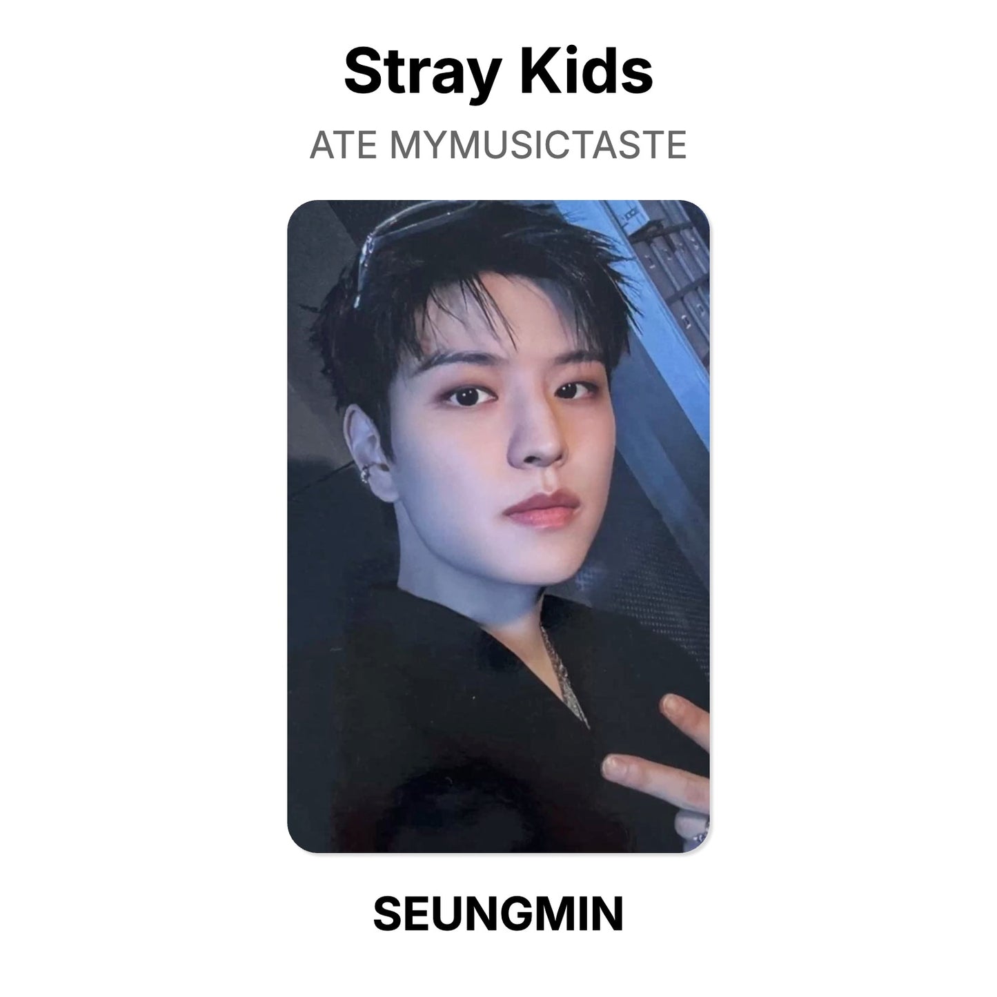 Stray Kids ATE MYMUSICTASTE Offizielle Photocard